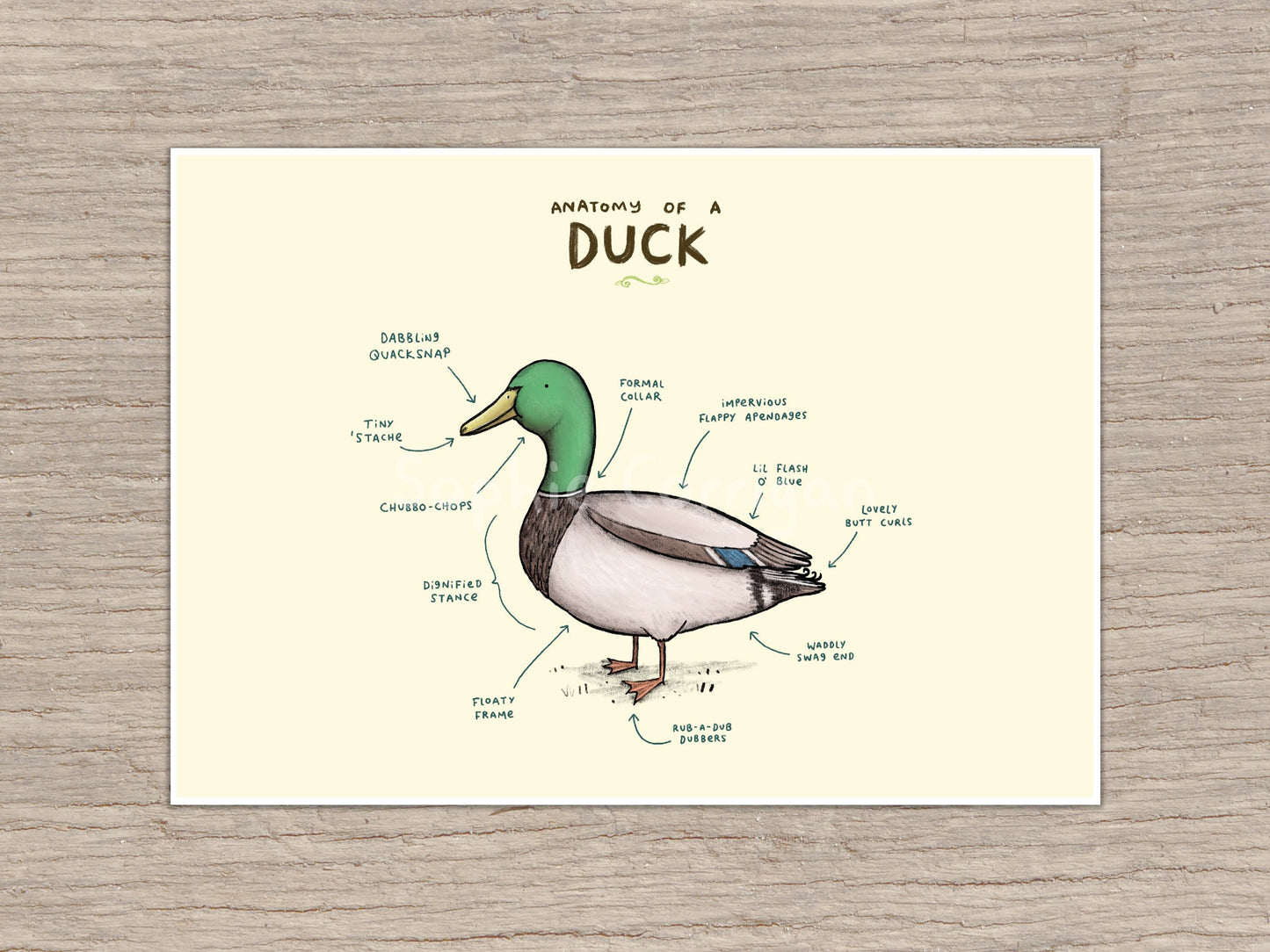 Anatomy of a Duck Signed Art Print