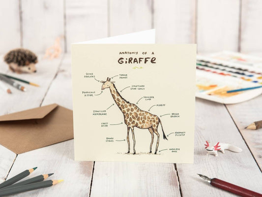 Anatomy Of A Giraffe Card