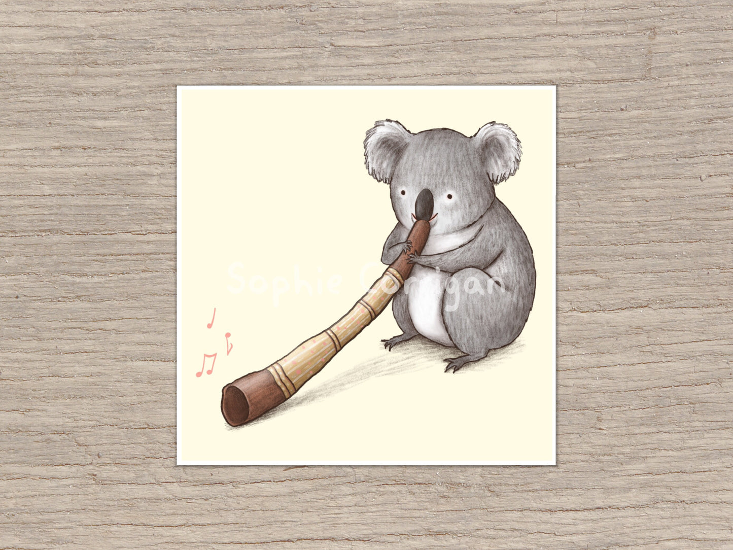 Koala Playing the Didgeridoo Signed Art Print