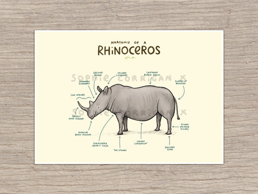 Anatomy of a Rhinoceros Signed Art Print