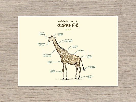 Anatomy of a Giraffe Signed Fine Art Print