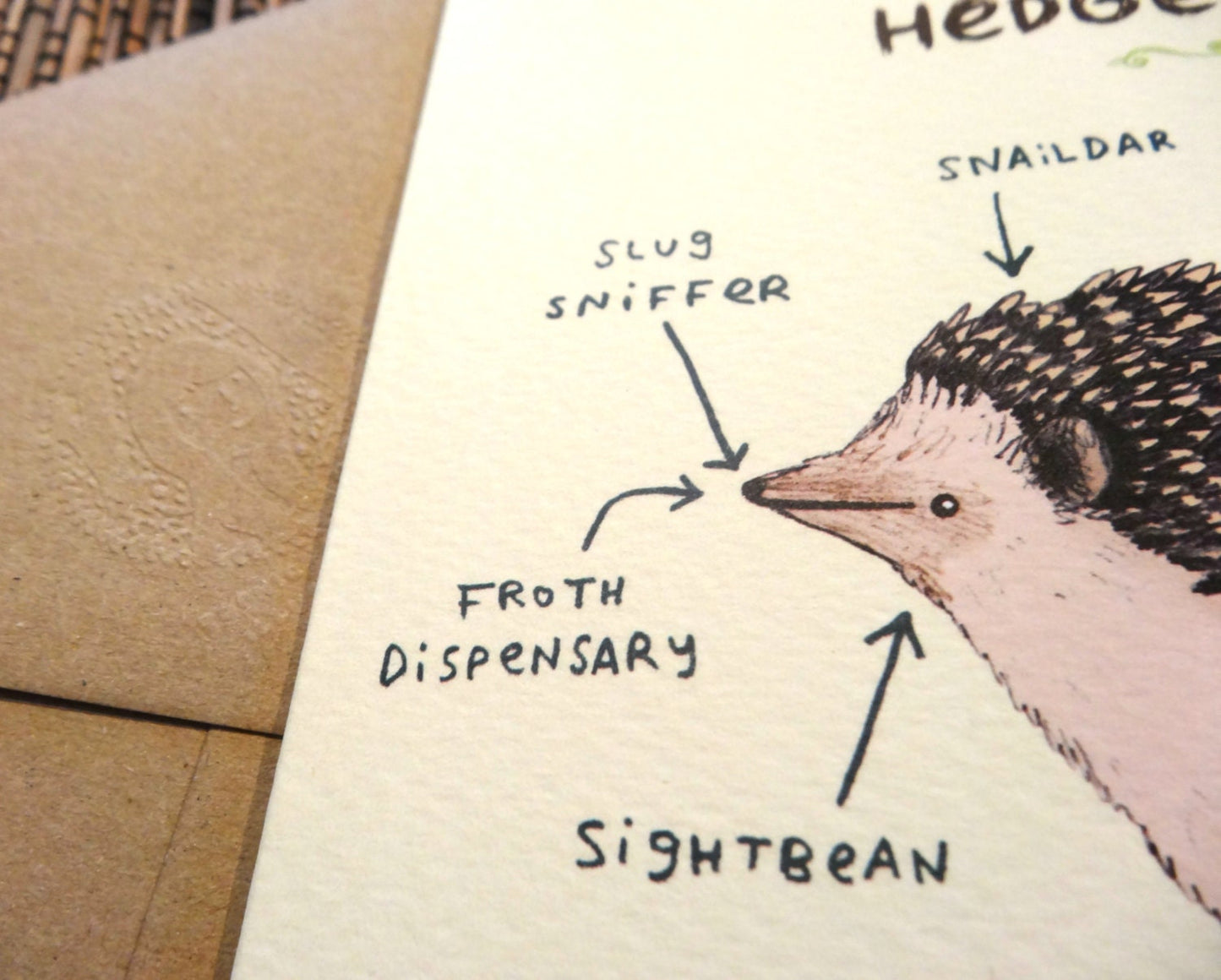 Anatomy Of A Hedgehog Card