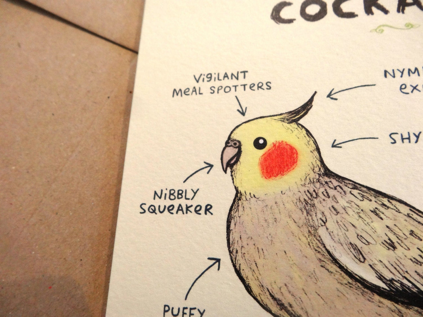Anatomy Of A Cockatiel Card