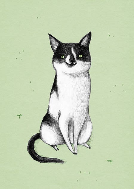 Bespoke Pet Portrait: Custom Color Illustration (Digital)