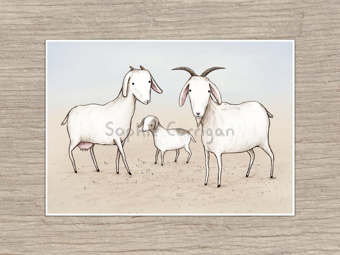 Goat Family Art Print: Signed Illustration, Farmhouse Decor