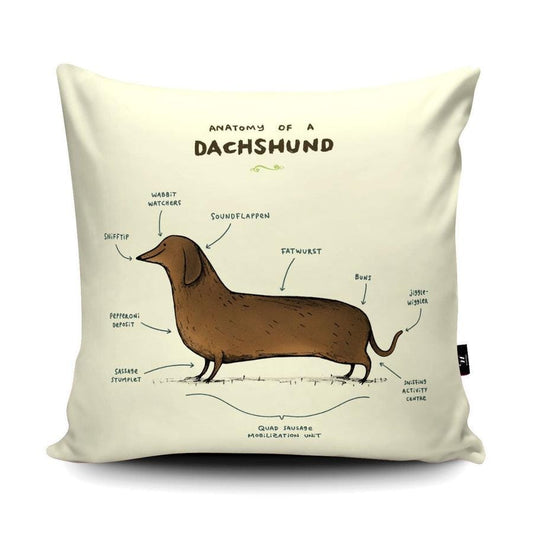 Anatomy of a Dachshund Vegan Suede Cushion, Sausage Dog Pillow
