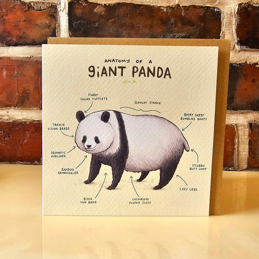Anatomy Of A Giant Panda Card