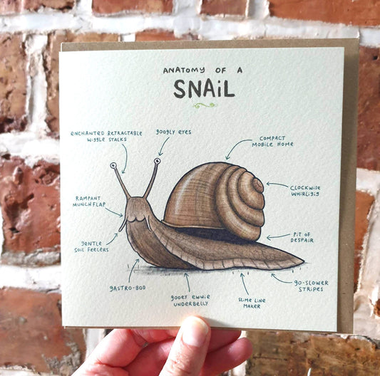 Anatomy of a Snail Card: Scientific Animal Illustration