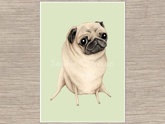 Sweet Fawn Pug Portrait Signed Fine Art Print