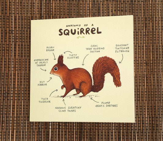 Anatomy Of A Squirrel Card