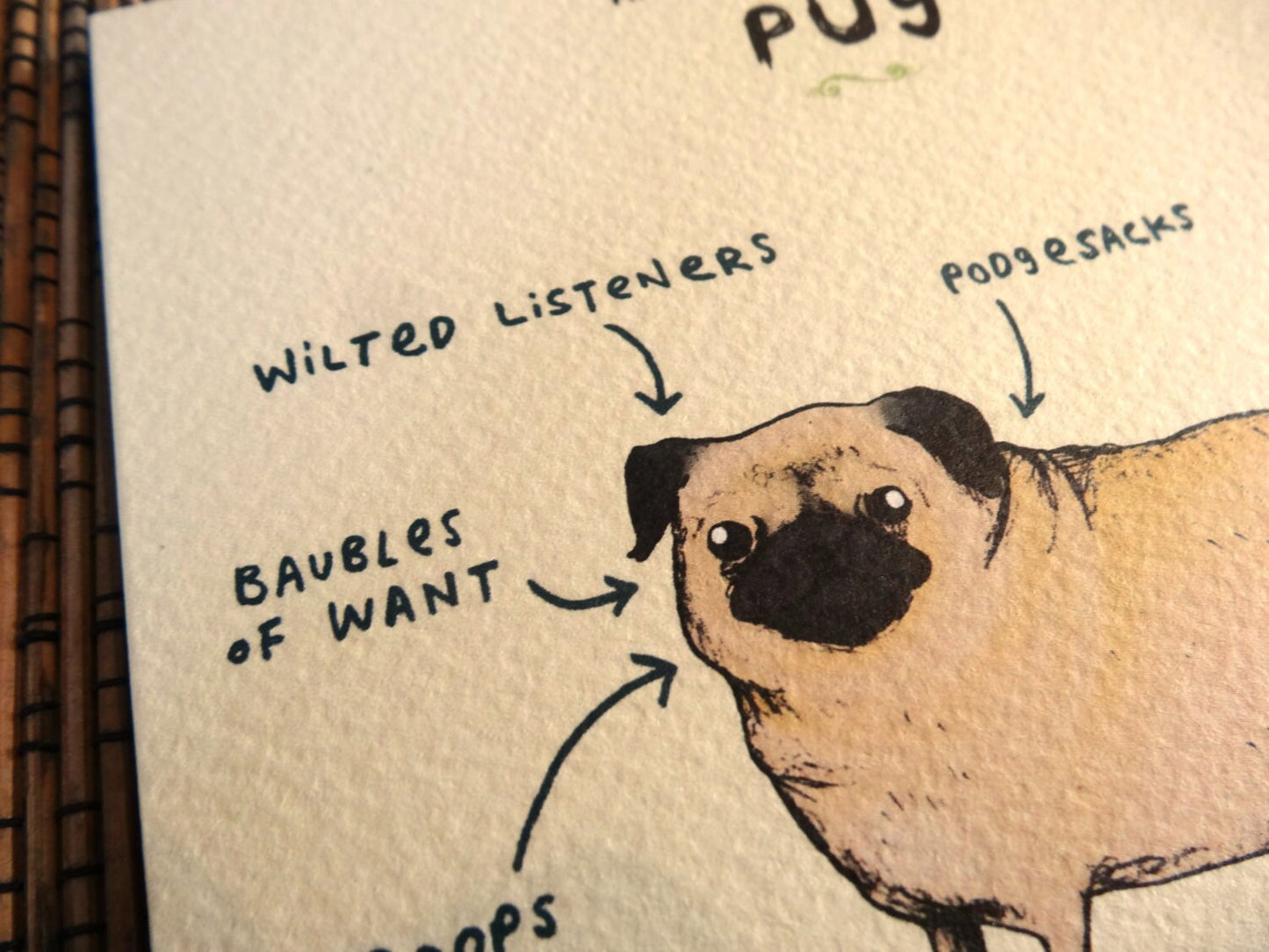 Anatomy of a Pug Greeting Card: Funny Dog Illustration