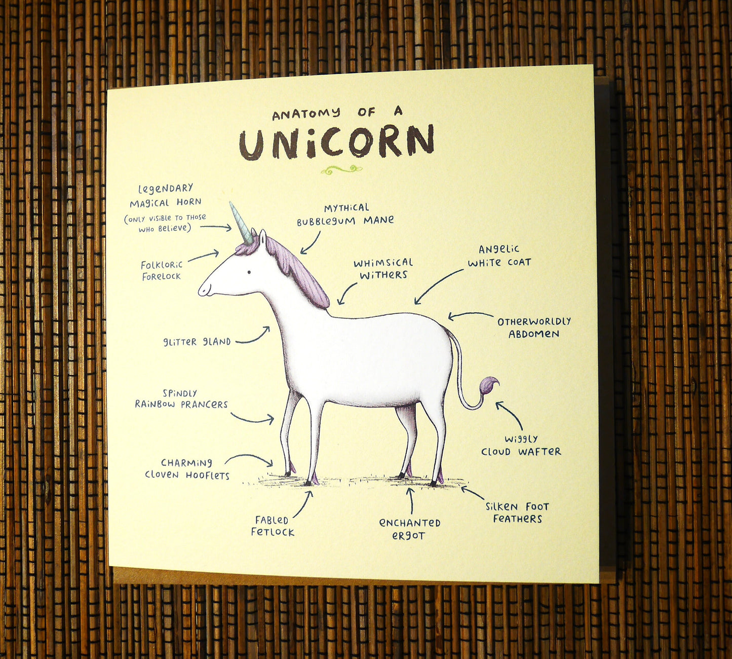 Anatomy Of A Unicorn Card