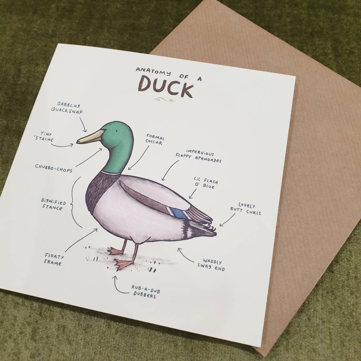 Anatomy Of A Duck Card