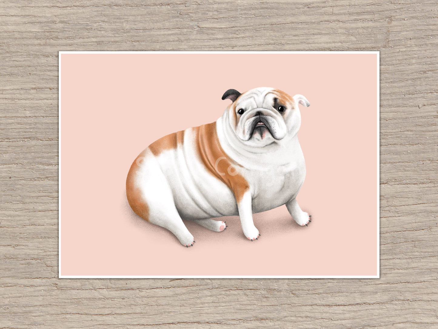British Bulldog Portrait Signed Art Print