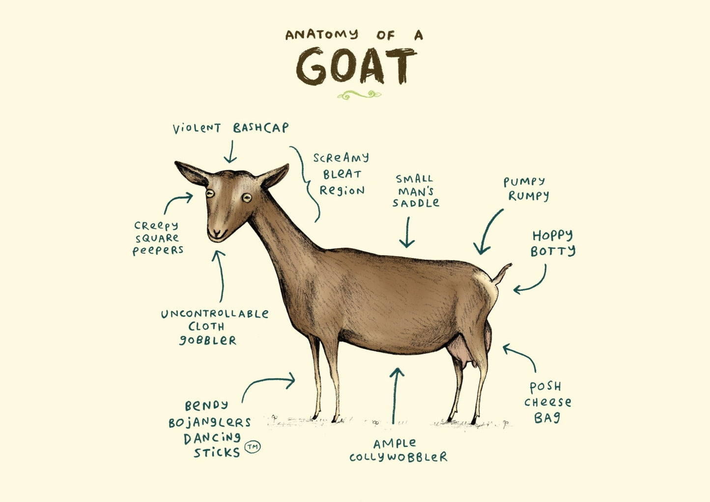 Anatomy Of A Goat A4 Signed Print