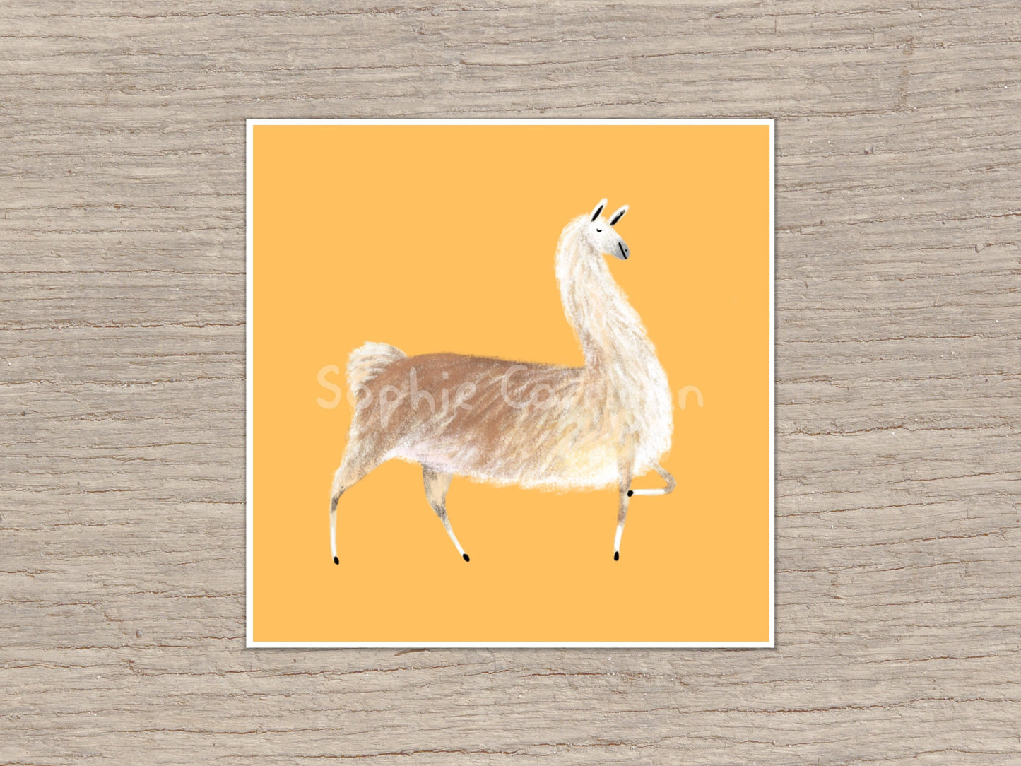 Sassy Little Llama Signed Art Print