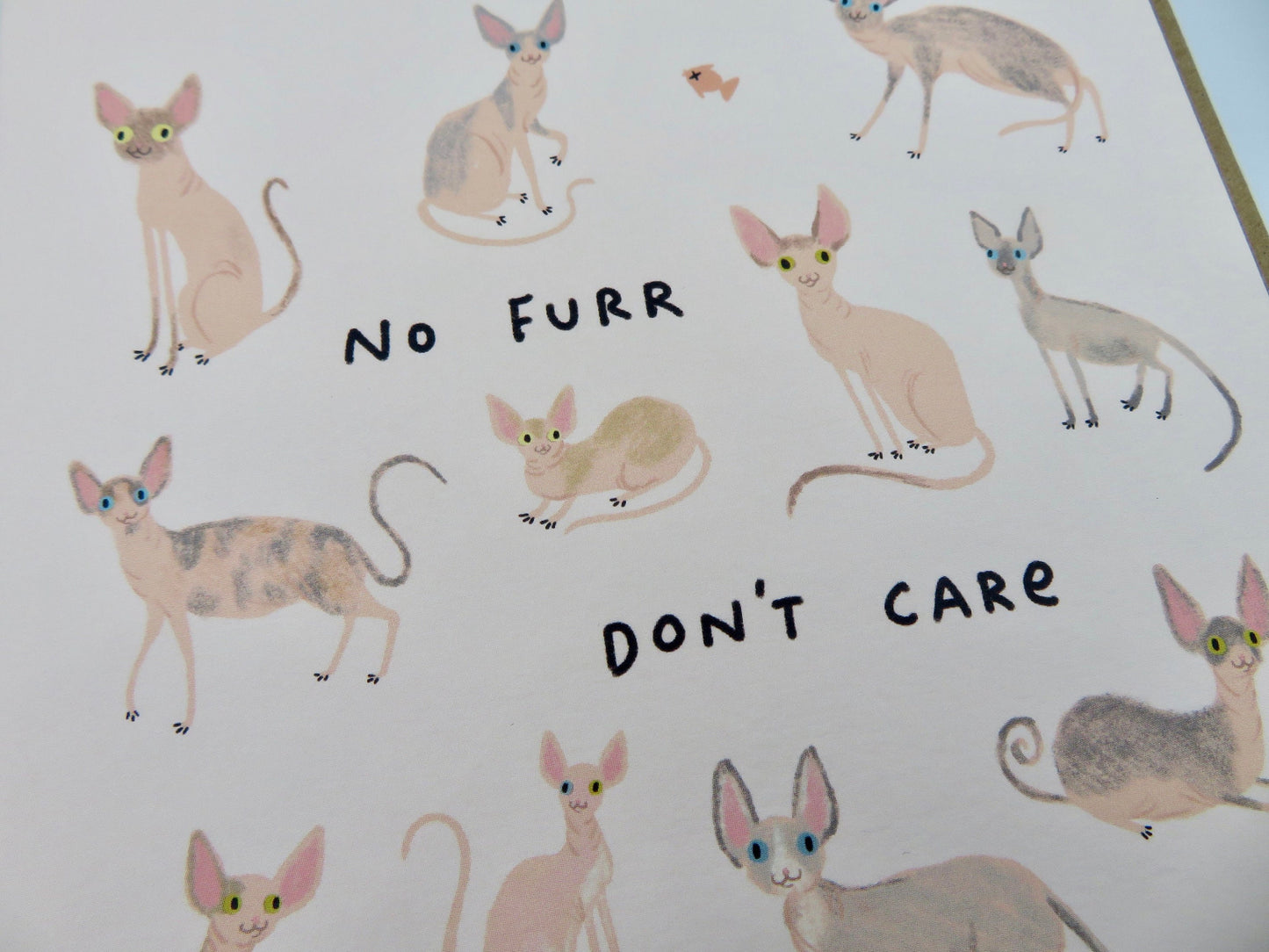 Sphynx Cats Card