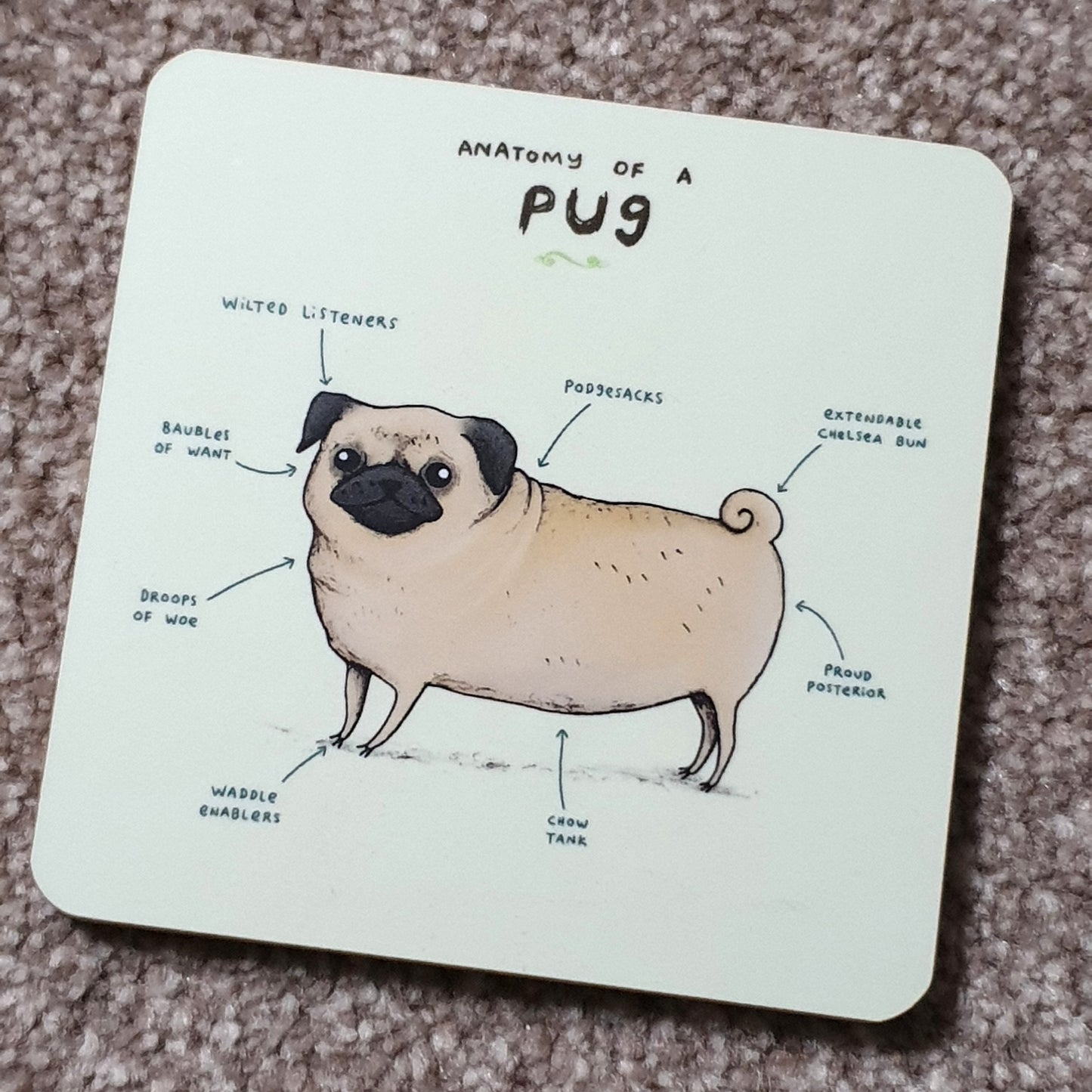 Anatomy of a Pug Coaster