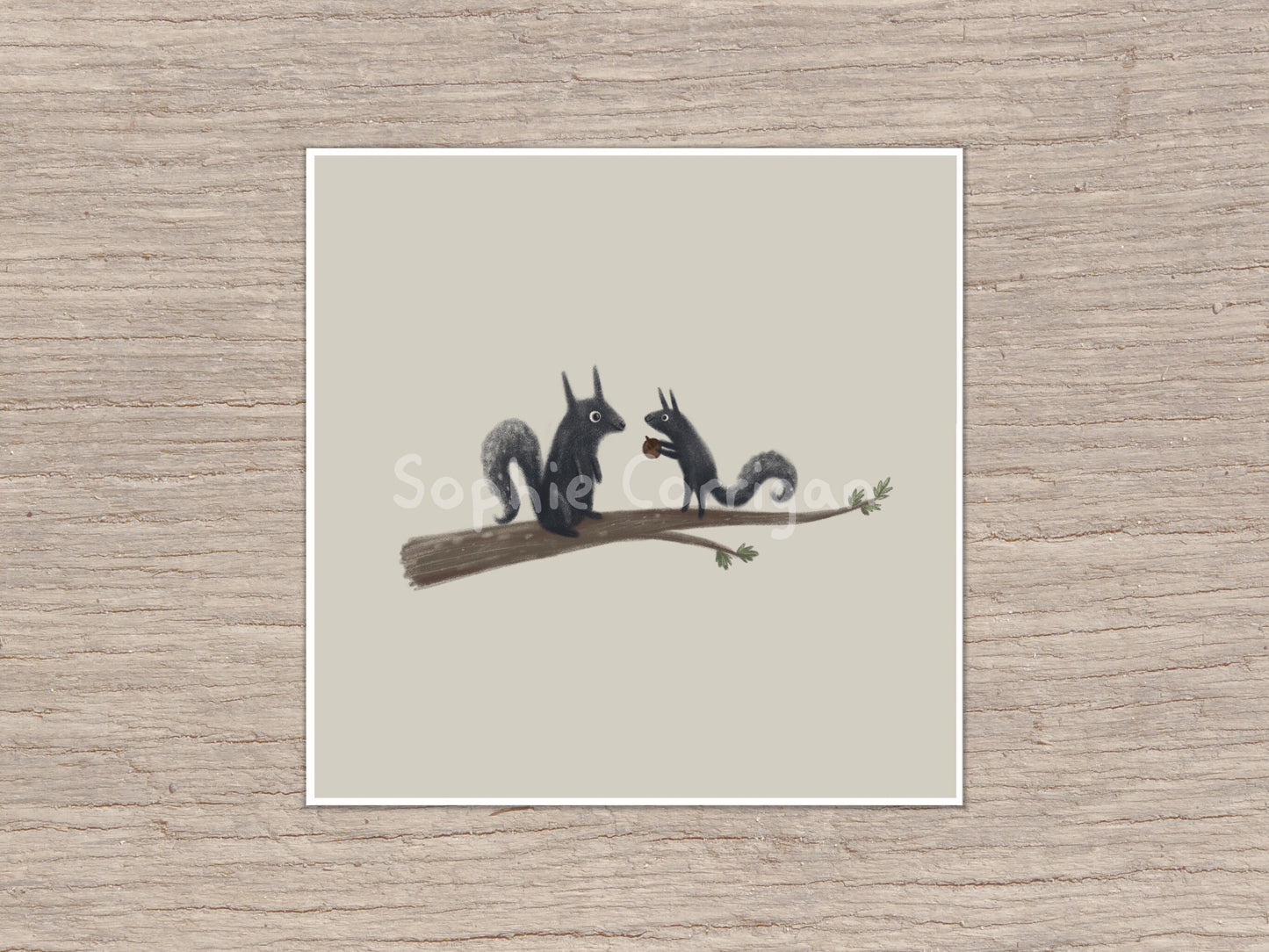 Black Squirrels Autumnal Illustration Signed Fine Art Print