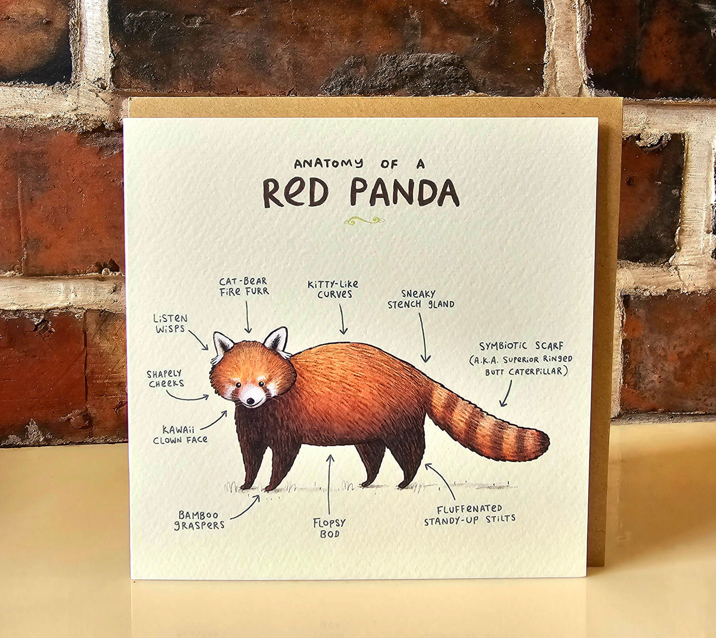 Anatomy Of A Red Panda Card