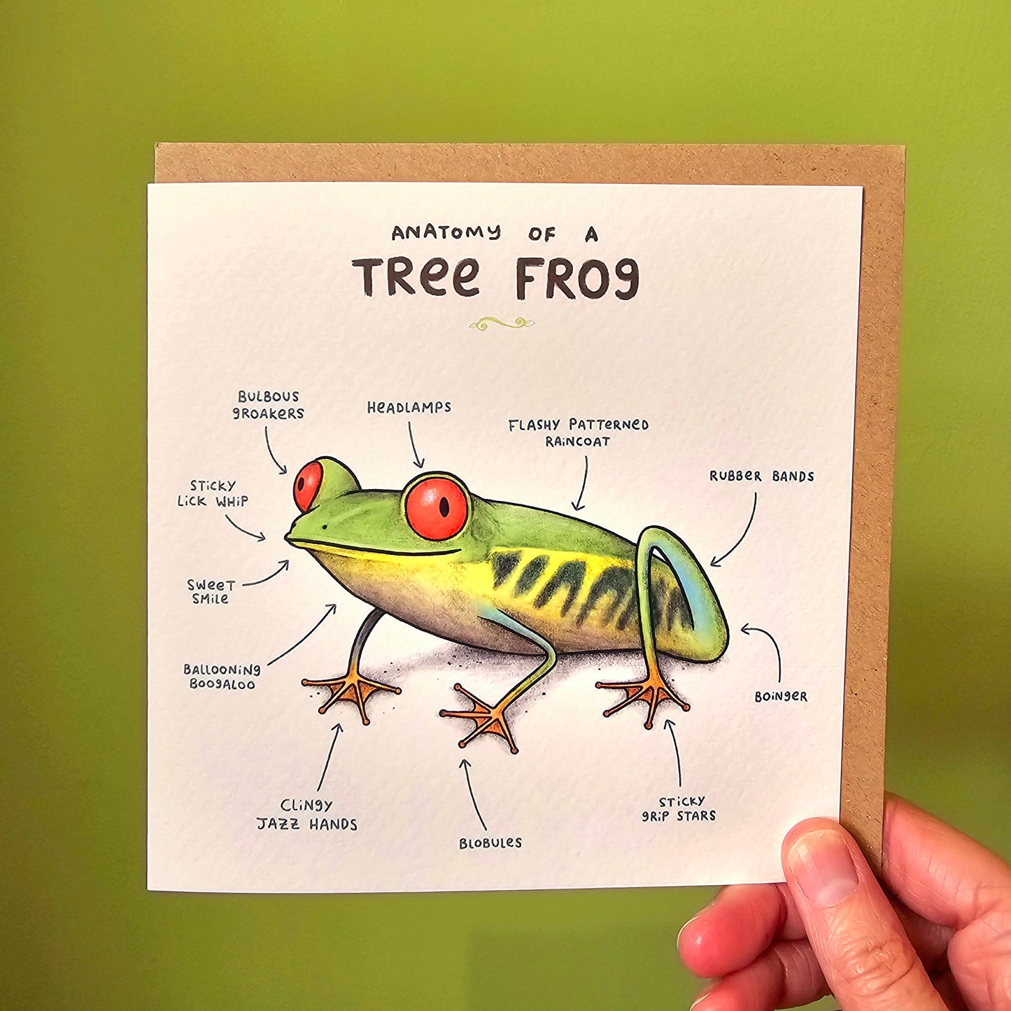 Anatomy of a Tree Frog Greeting Card: Funny Animal Illustration