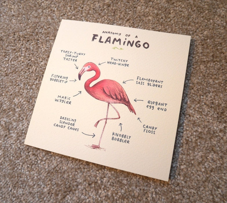 Anatomy Of A Flamingo Card