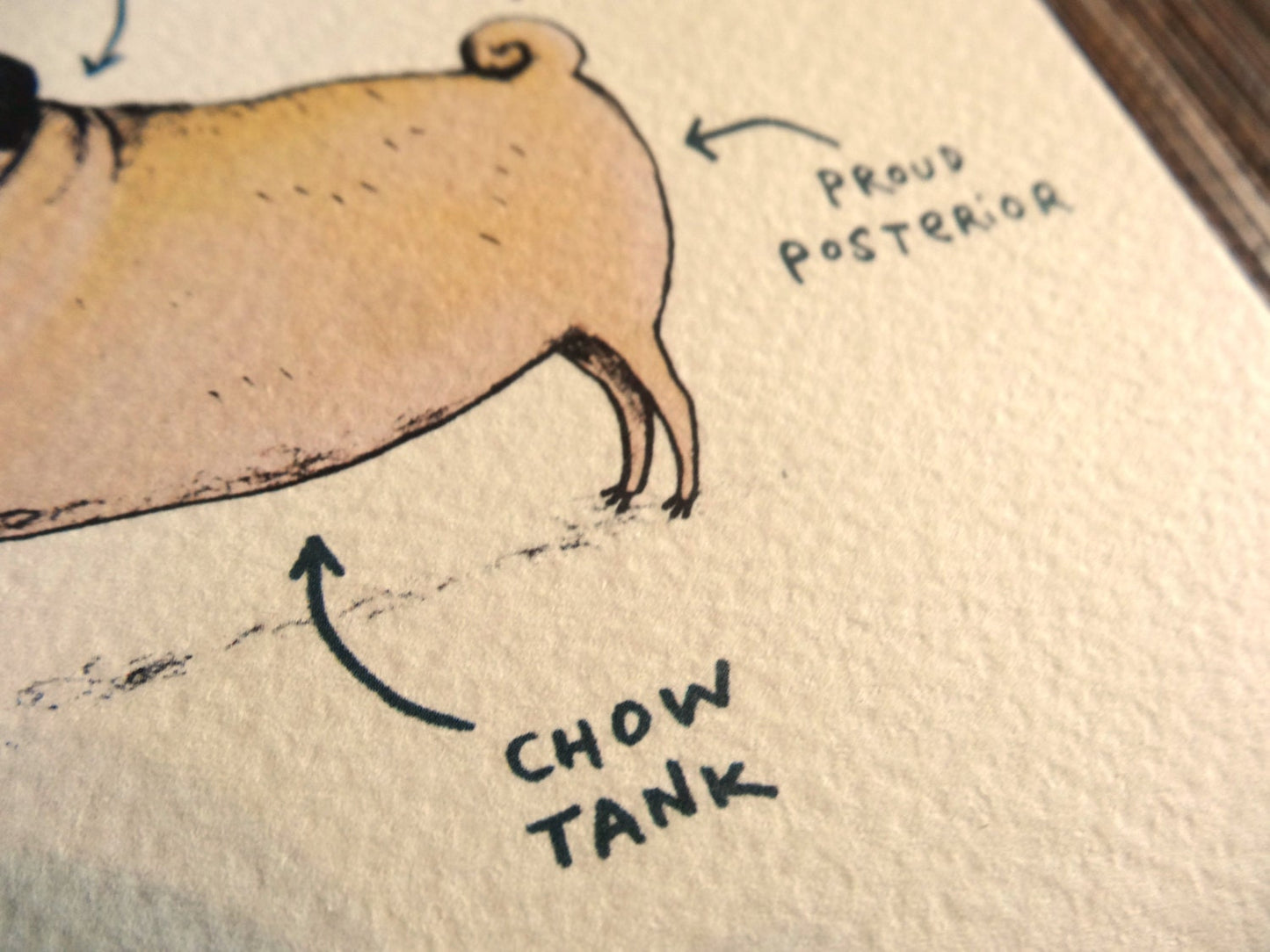 Anatomy of a Pug Greeting Card: Funny Dog Illustration