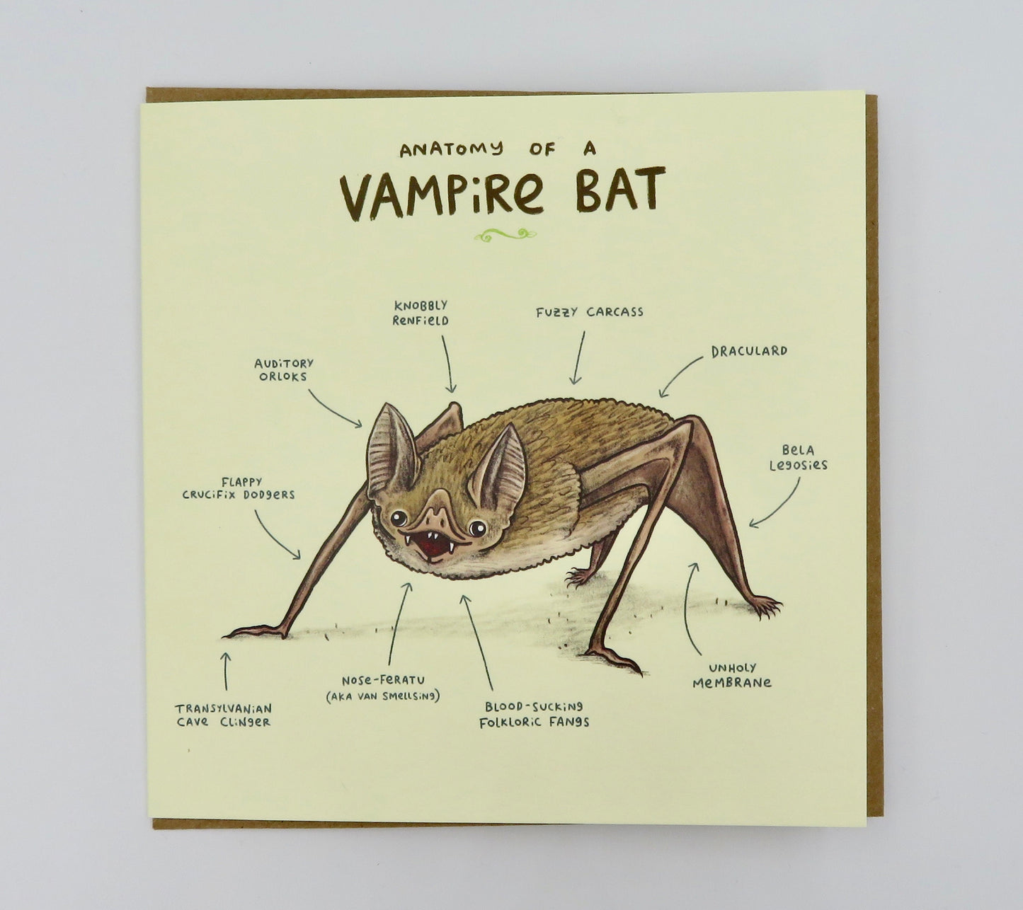 Anatomy Of A Vampire Bat Card