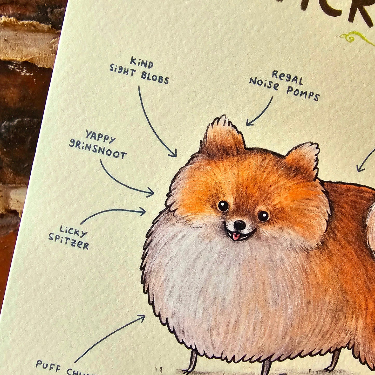 Anatomy of a Pomeranian Greeting Card: Funny Dog Illustration