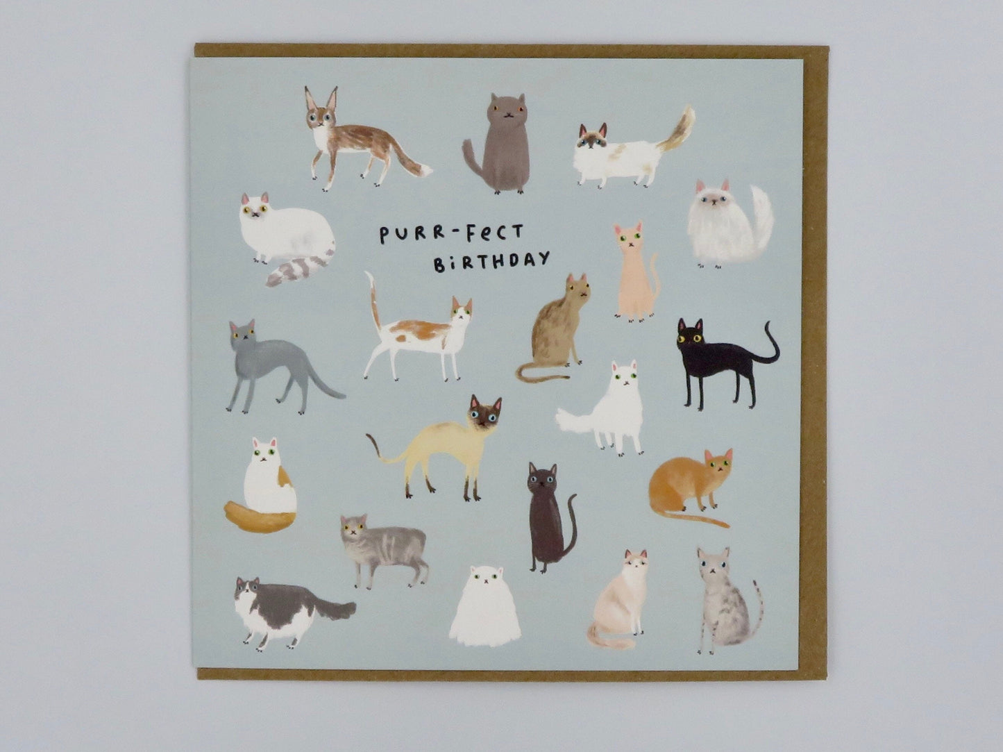 Purrfect Cats Birthday Card