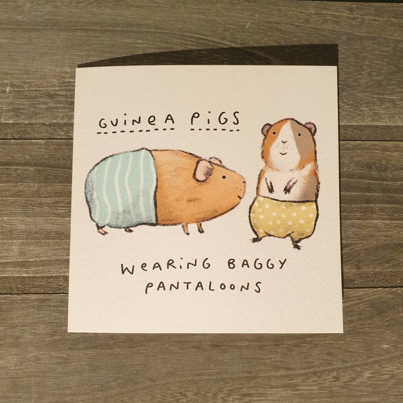Guinea Pigs Wearing Baggy Pantaloons Card
