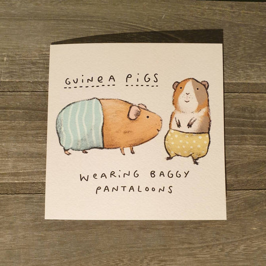 Guinea Pigs Wearing Baggy Pantaloons Card