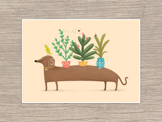 Dachshund & Parrot Signed Art Print