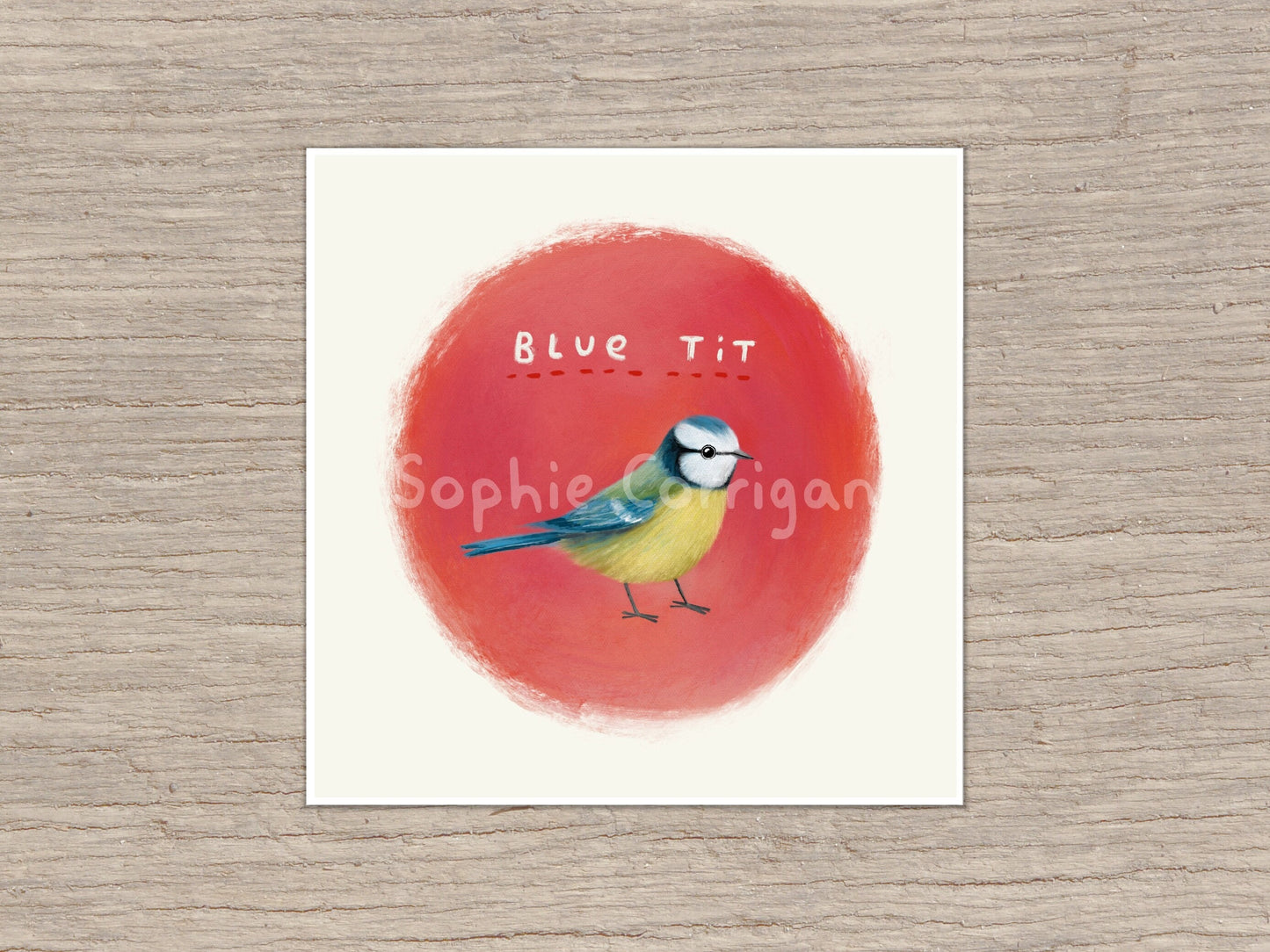 Blue Tit Bird Signed Fine Art Print