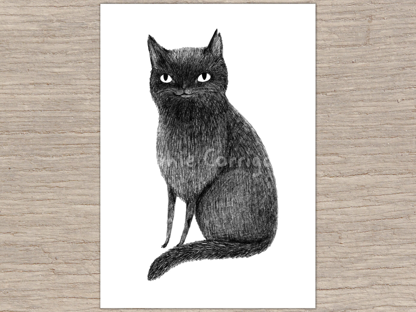 Black Cat Signed Art Print