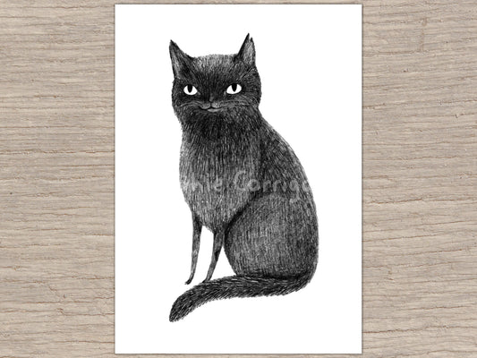 Black Cat Signed Art Print