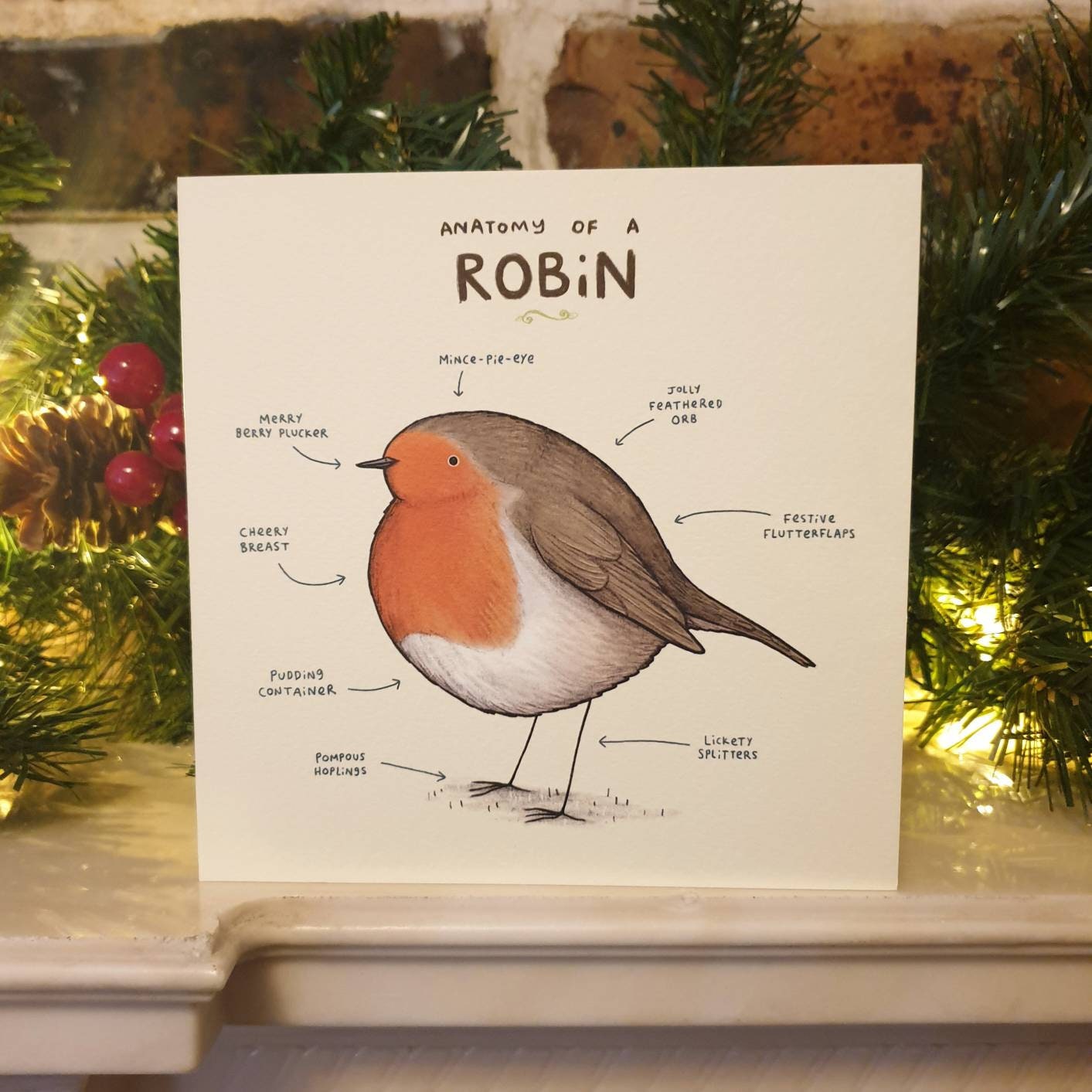 Anatomy of a Robin Card – Cute Bird Christmas Card