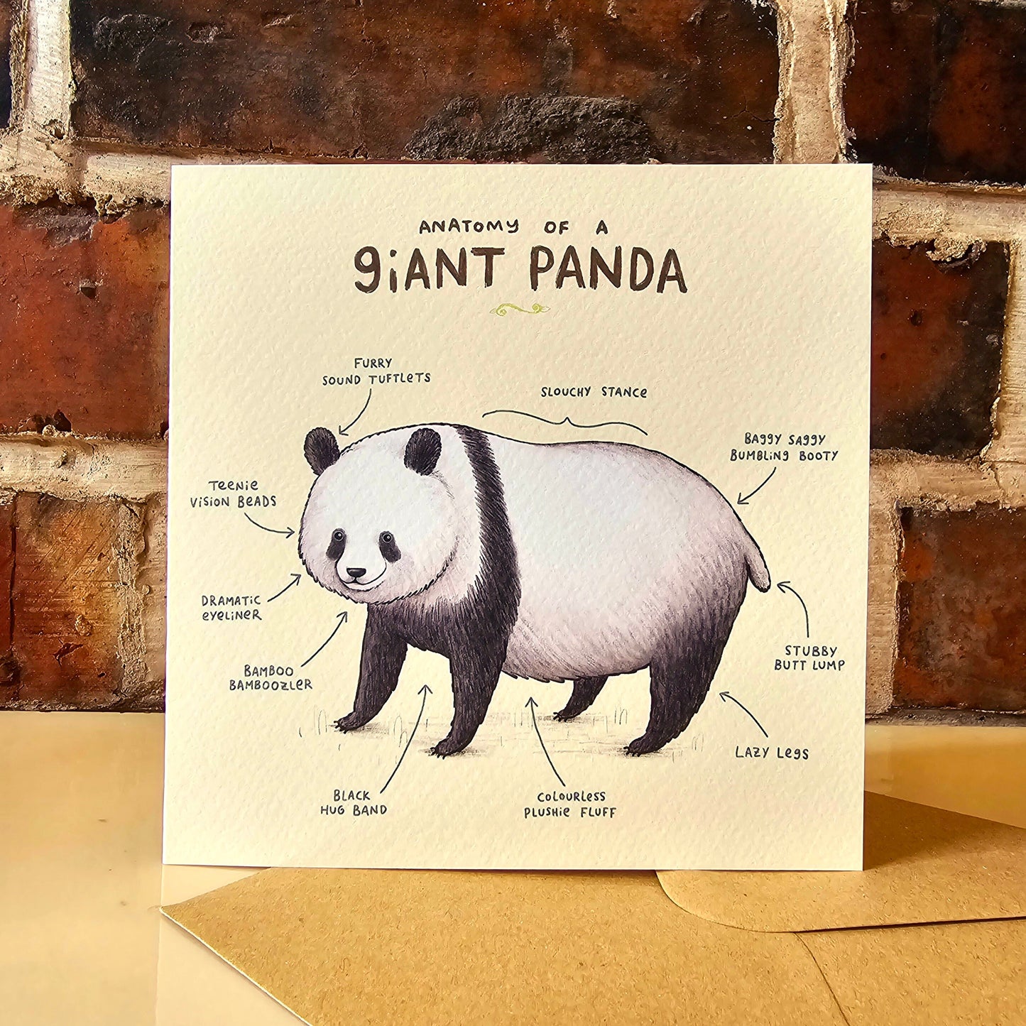 Anatomy Of A Giant Panda Card