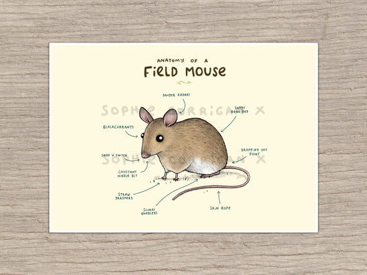 Anatomy of a Field Mouse Signed Art Print