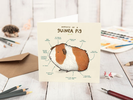 Anatomy Of A Guinea Pig Card