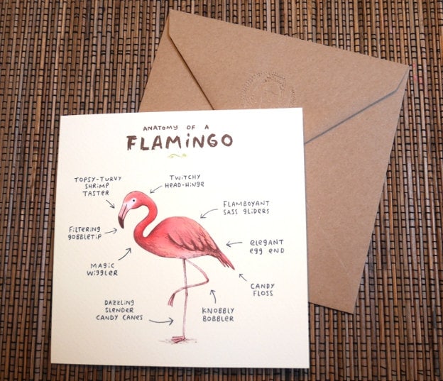 Anatomy Of A Flamingo Card