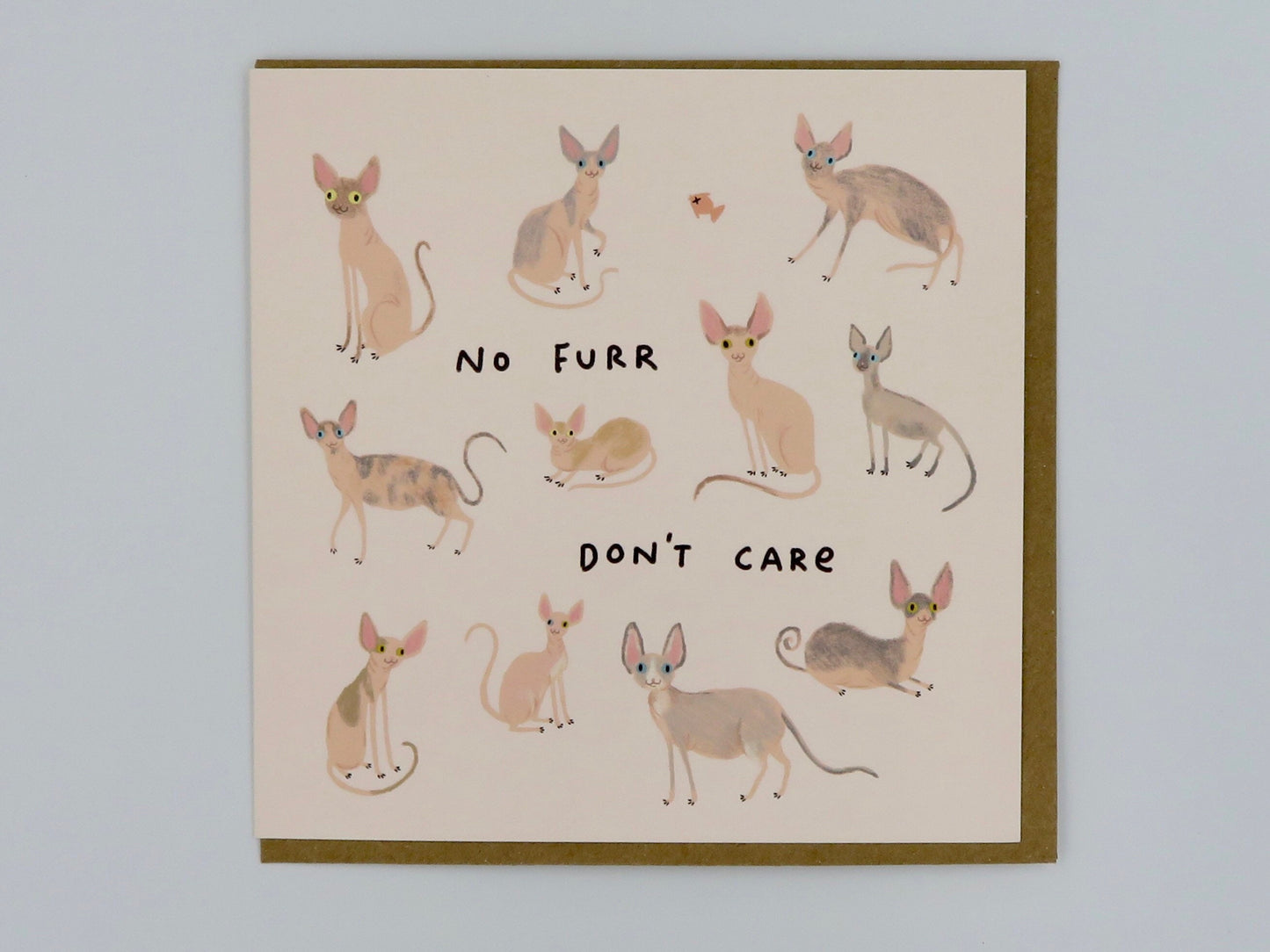 Sphynx Cats Card