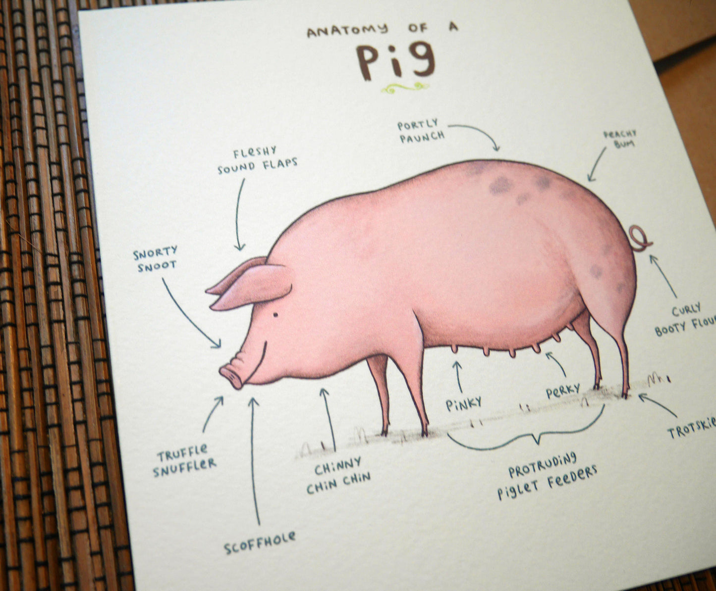 Anatomy Of A Pig Card