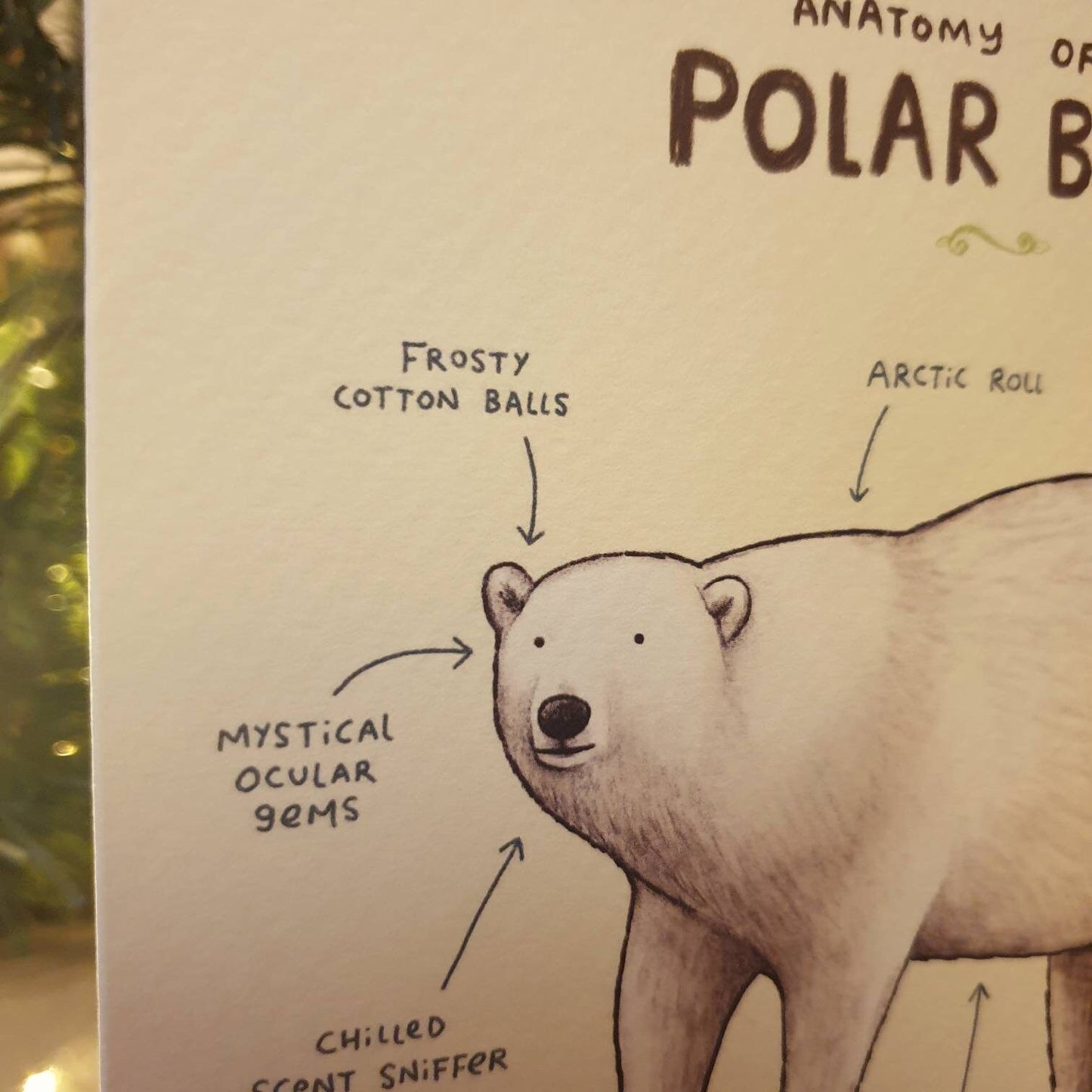 Anatomy Of A Polar Bear Card
