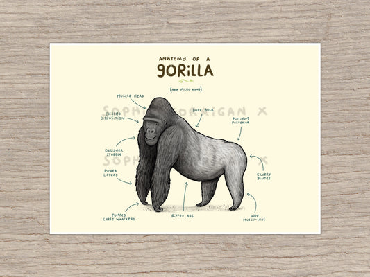 Anatomy of A Gorilla Signed Art Print