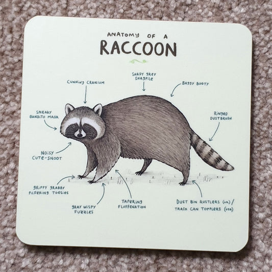 Anatomy of a Raccoon Coaster