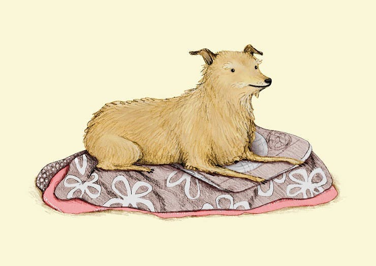 Bespoke Pet Portrait: Custom Color Illustration (Digital)