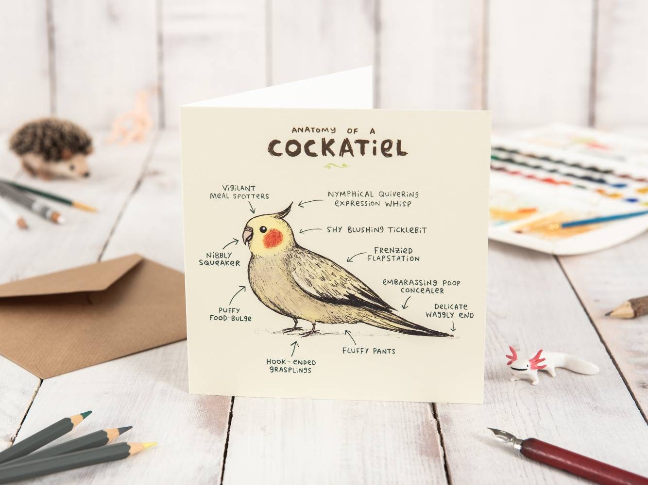 Anatomy Of A Cockatiel Card