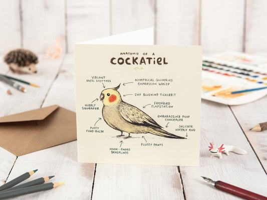 Anatomy Of A Cockatiel Card