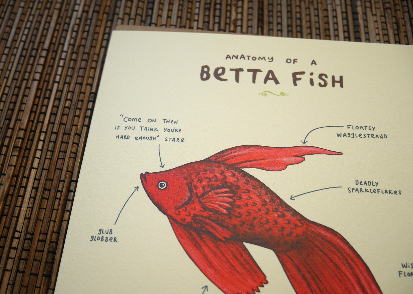 Anatomy of a Betta Fish Card